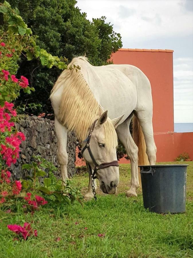 Quinta Da Falesia - Casa Amarela ポンタ・デルガダ エクステリア 写真