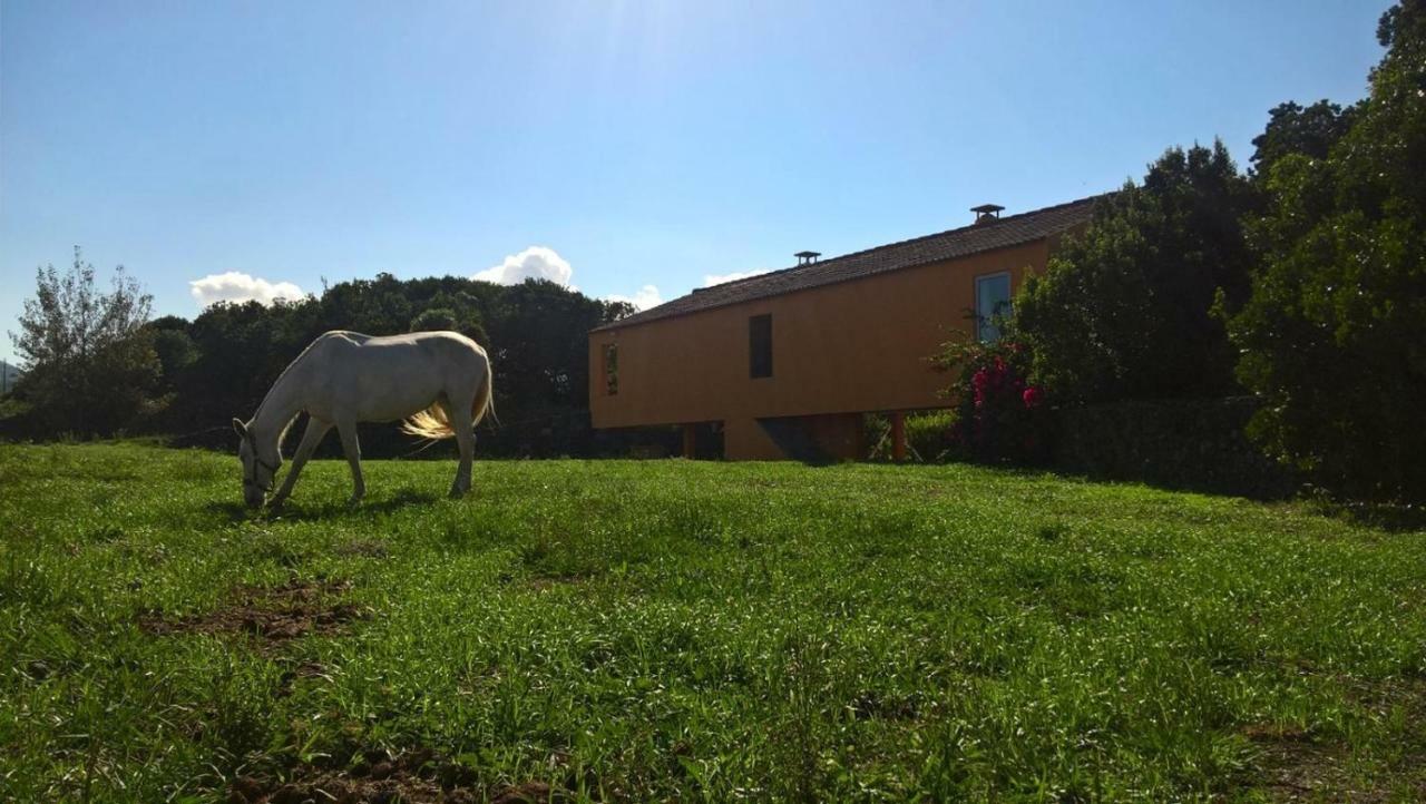 Quinta Da Falesia - Casa Amarela ポンタ・デルガダ エクステリア 写真