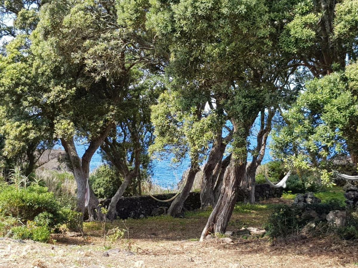 Quinta Da Falesia - Casa Amarela ポンタ・デルガダ エクステリア 写真