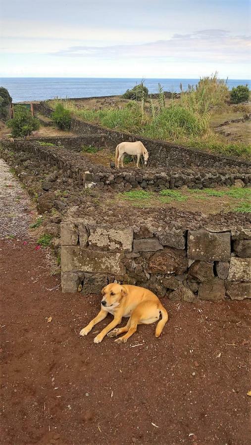 Quinta Da Falesia - Casa Amarela ポンタ・デルガダ エクステリア 写真